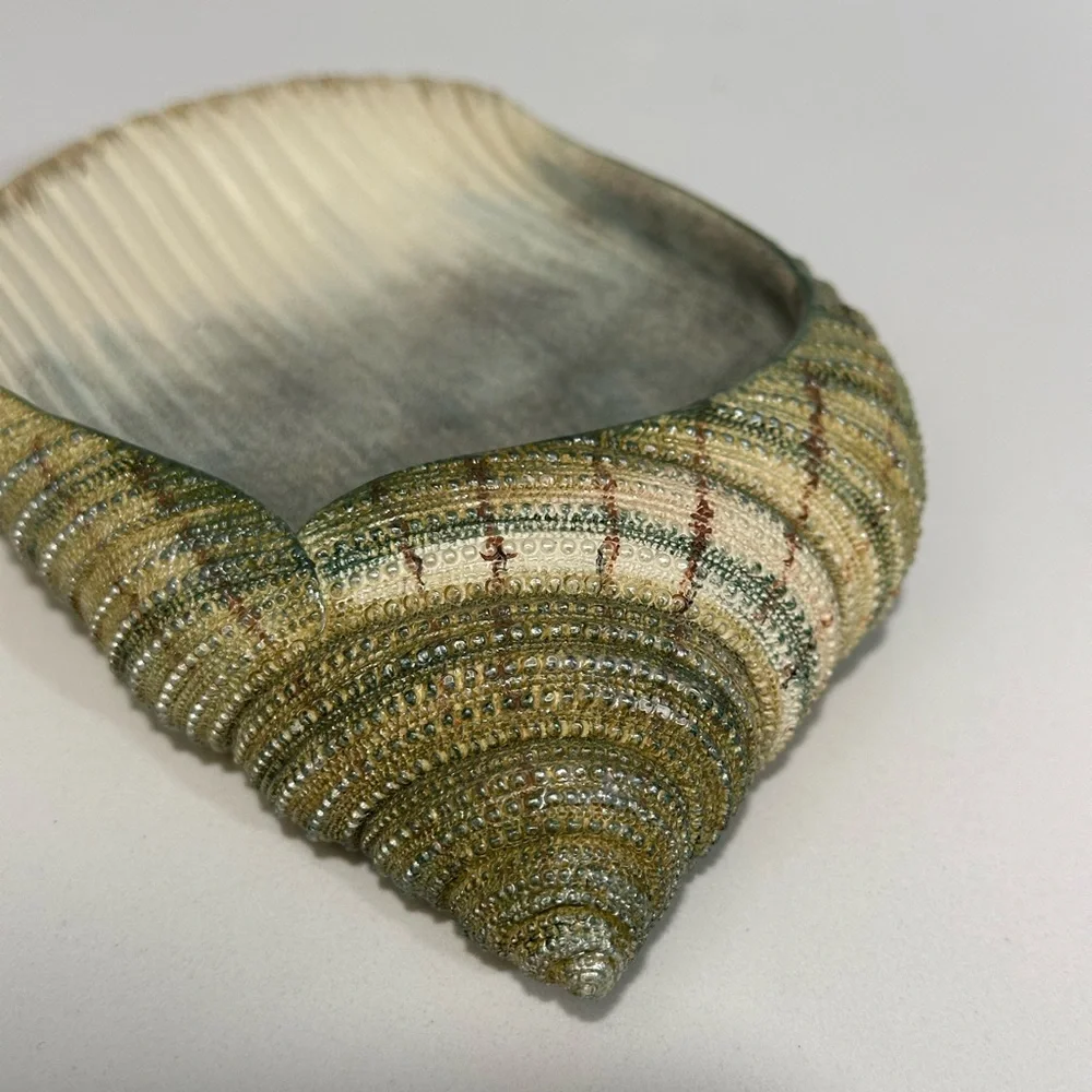 Seabreeze bath collection Soap Dish Sea Shell Or Trinket Ring Tray , Beach Decor